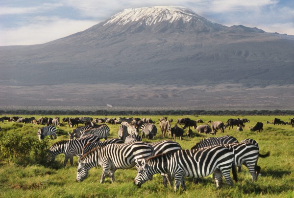 6 Days Amboseli, Lake Nakuru & Masai Mara safari