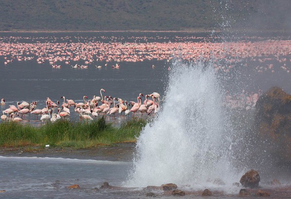 6 Days Rift Valley Lakes & Masai Mara Camping Safari