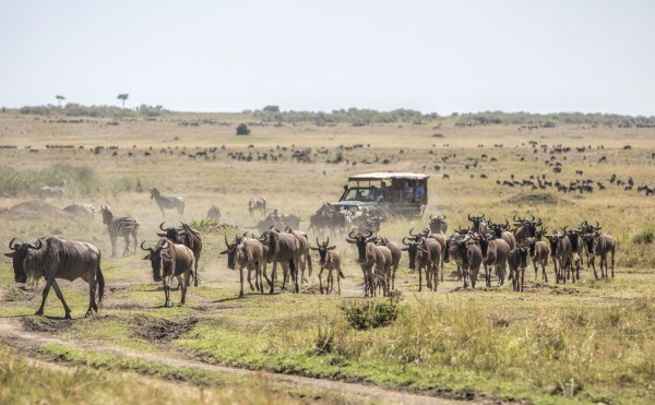 Masai Mara 2 days flying packages