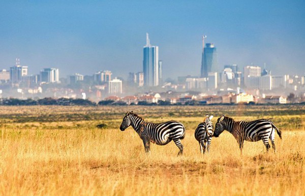 Nairobi Day Tours